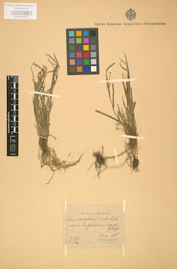 LE 01002707