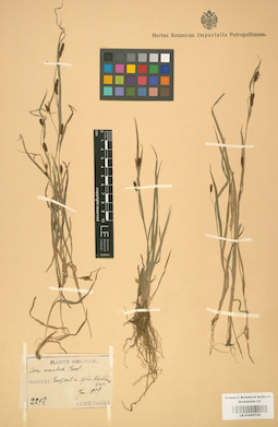 LE 01002709