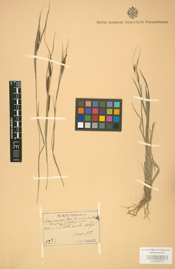 LE 01002710