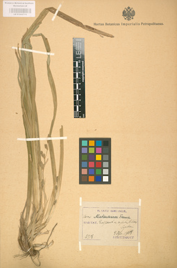LE 01002712