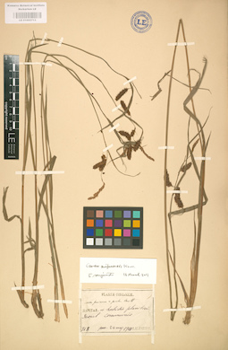 LE 01002713