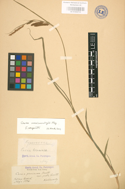 LE 01002715