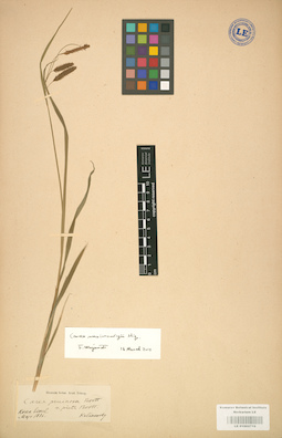 LE 01002716