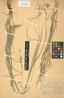 LE 01002717