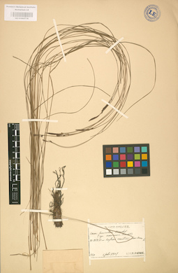 LE 01002718