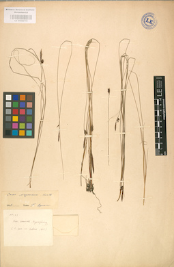 LE 01002719