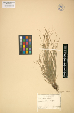 LE 01002720