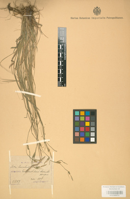 LE 01002721