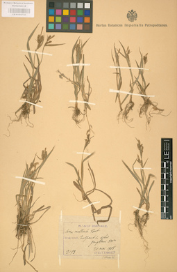 LE 01002722