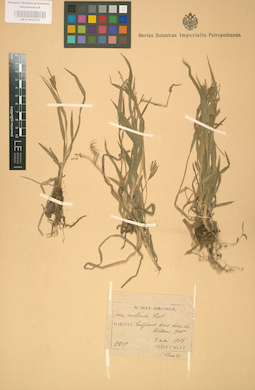 LE 01002723