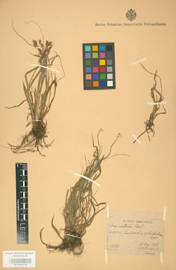 LE 01002724