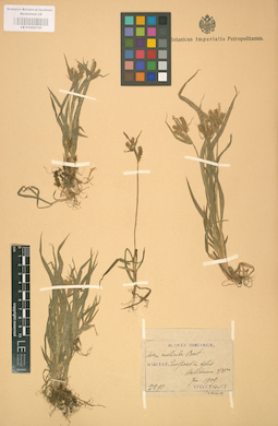 LE 01002725