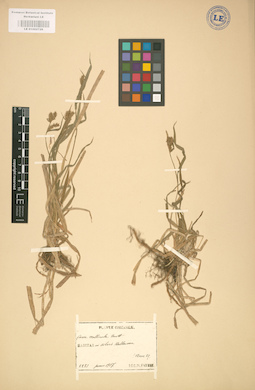 LE 01002726