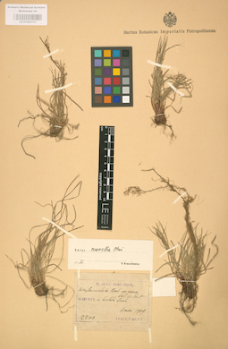 LE 01002727