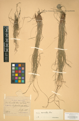 LE 01002728
