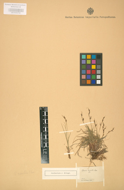 LE 01002729