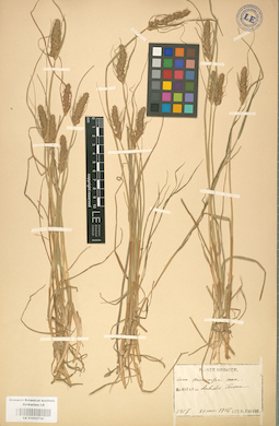 LE 01002730