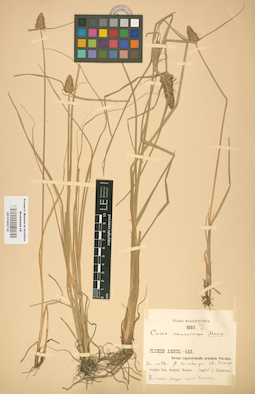 LE 01002732