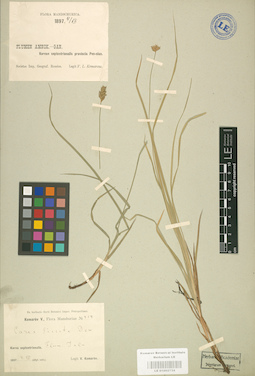 LE 01002734