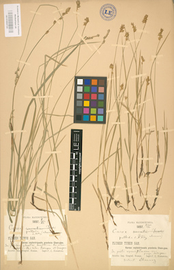 LE 01002735
