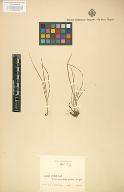LE 01002736