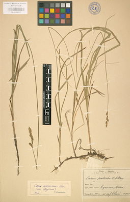 LE 01002737