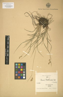 LE 01002740