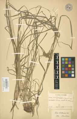 LE 01002741