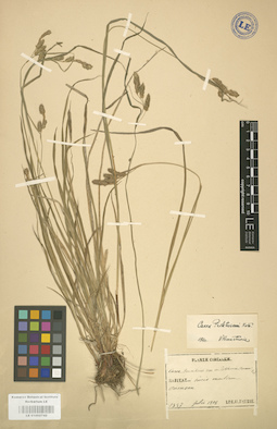 LE 01002742