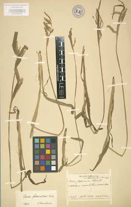 LE 01002744