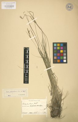LE 01002746