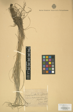 LE 01002748