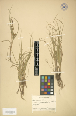 LE 01002749