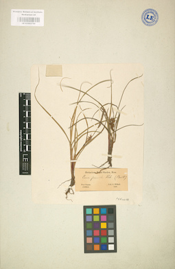 LE 01002750