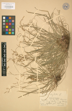 LE 01002751