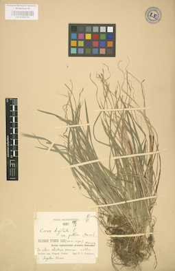 LE 01002752