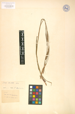 LE 01002754