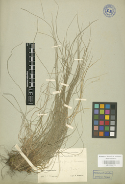 LE 01002755