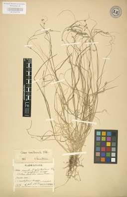LE 01002756