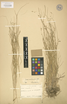 LE 01002757