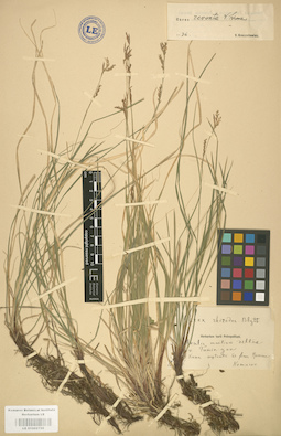 LE 01002759