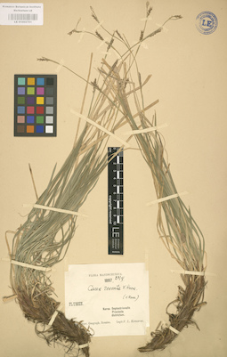 LE 01002761