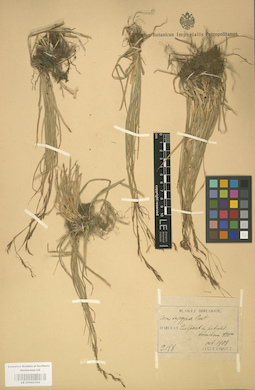 LE 01002765