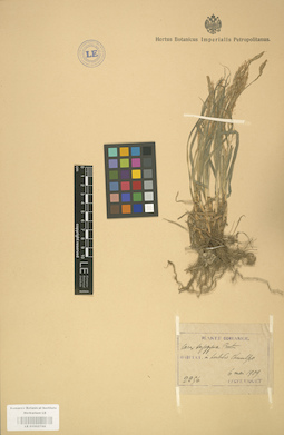 LE 01002768
