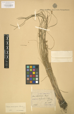 LE 01002772