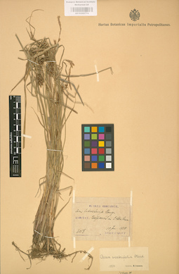 LE 01002774