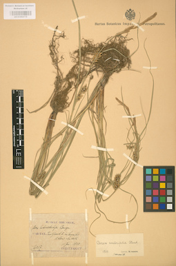 LE 01002775