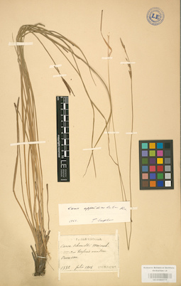 LE 01002777