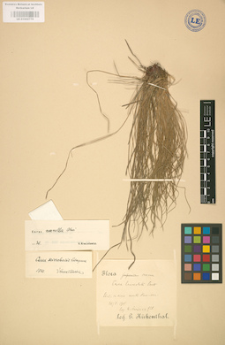 LE 01002778