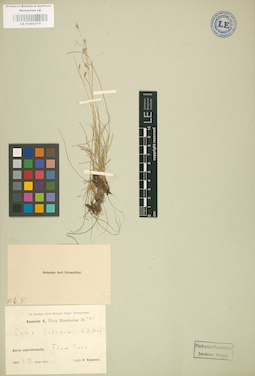 LE 01002779